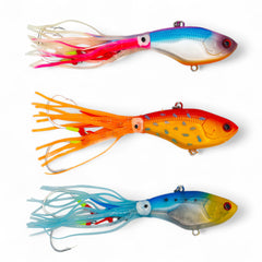 Squid Fish