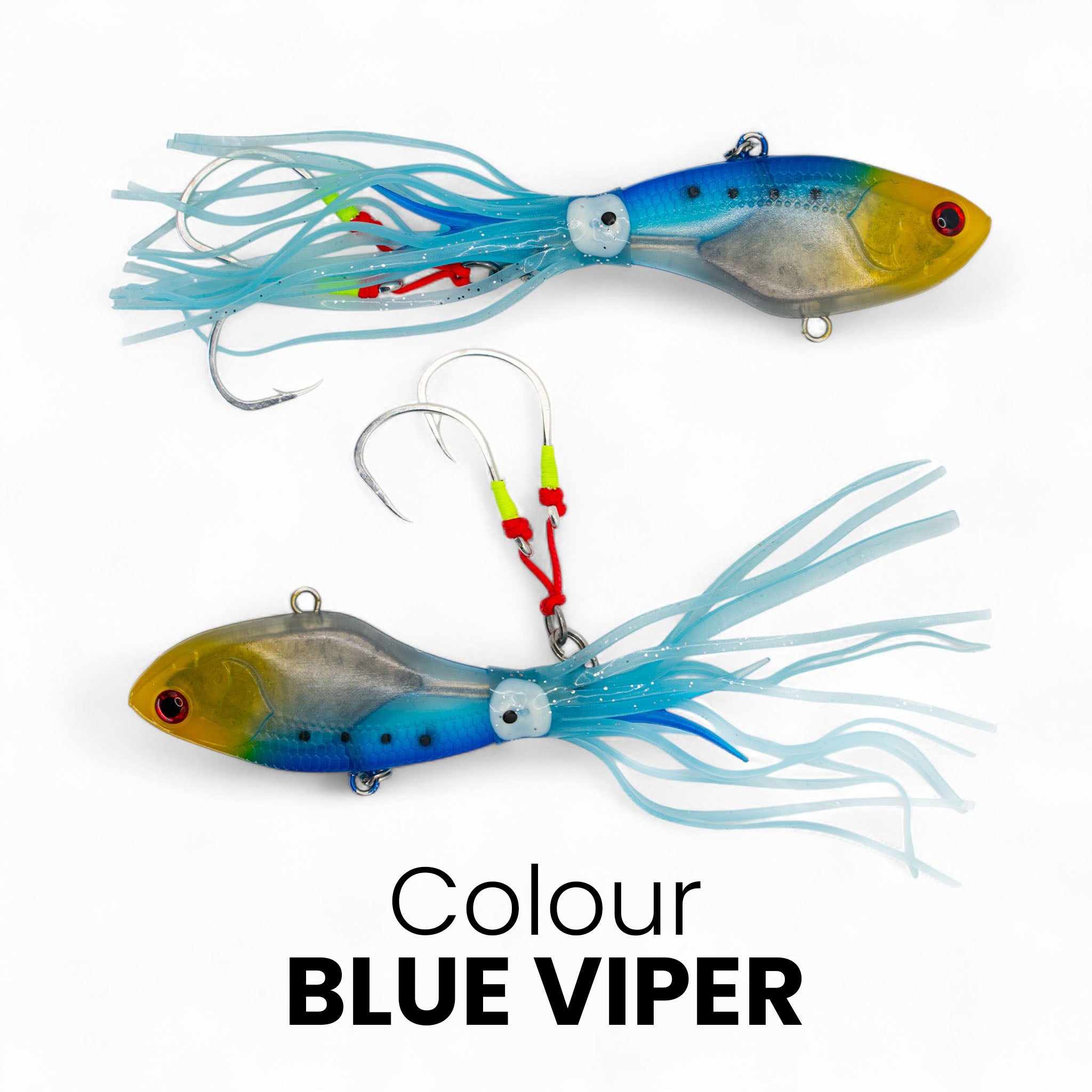 Squid Fish