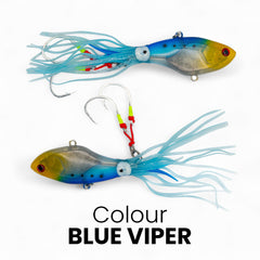 Squid Fish