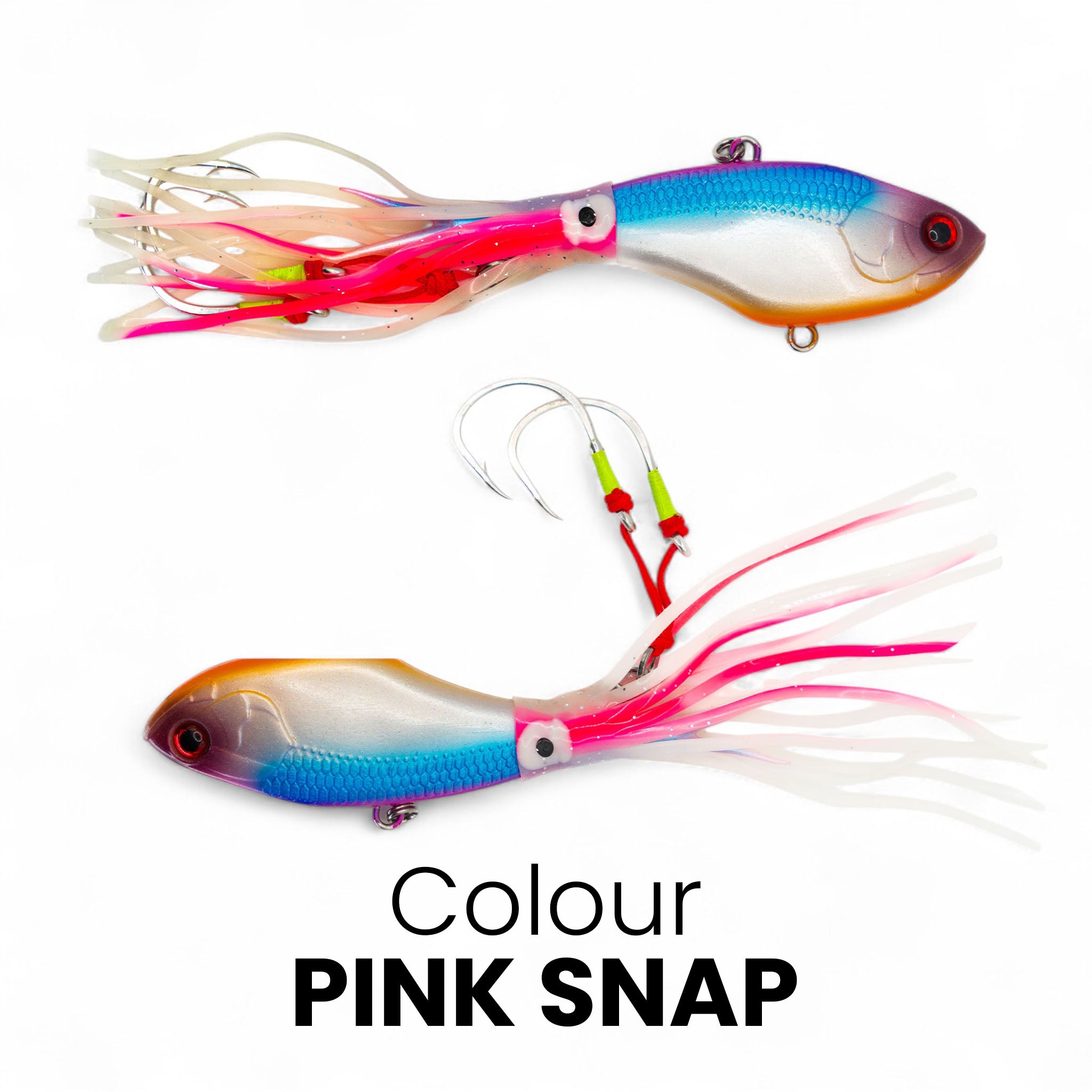 Squid Fish